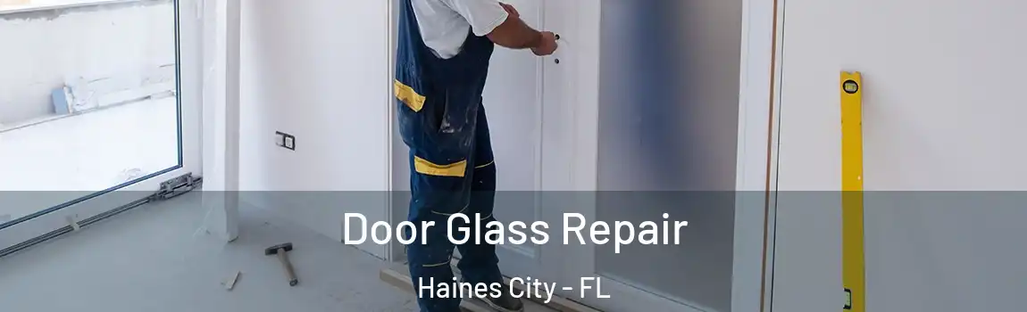 Door Glass Repair Haines City - FL