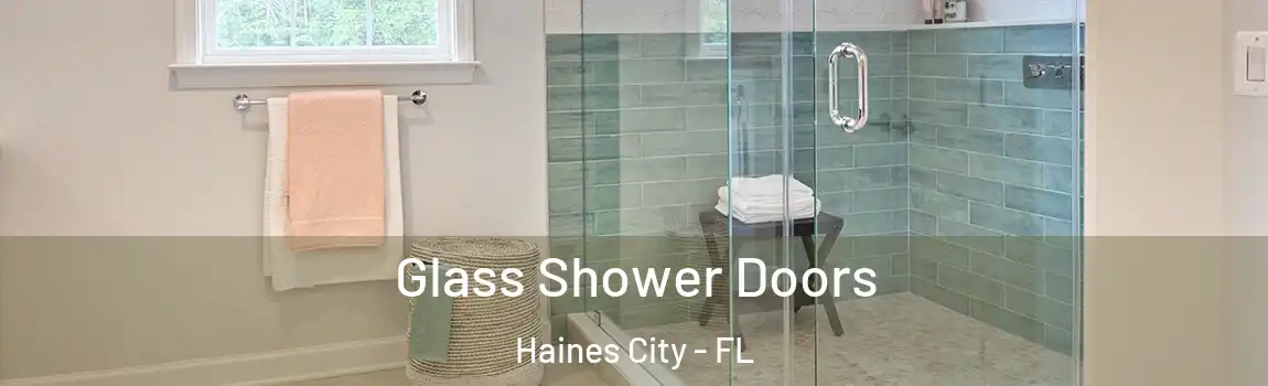 Glass Shower Doors Haines City - FL